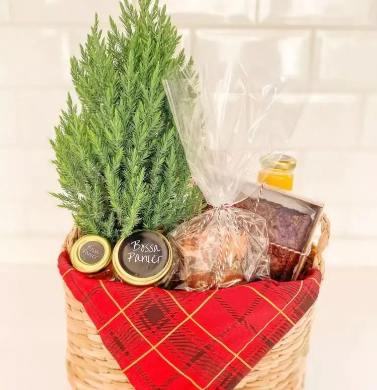 Cesta de Natal com planta e doces 