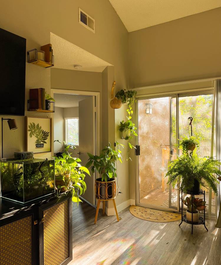 Uma sala iluminada pelo sol, repleta de plantas em vasos e penduradas, criando uma atmosfera natural. Um aquário brilha próximo à TV, e uma porta de vidro revela uma área externa, convidando a luz e a natureza para dentro.