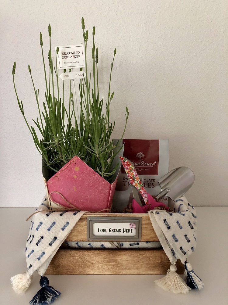 cesta para dia das mães jardinagem