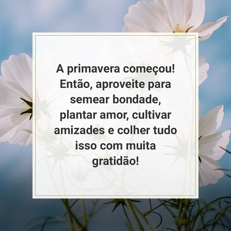 frases de primavera em foto de campo de flores