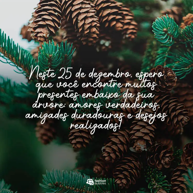 Foto de pinhas e frase " Neste 25 de dezembro, espero que você encontre muitos presentes embaixo da sua árvore: amores verdadeiros, amizades duradouras e desejos realizados!"