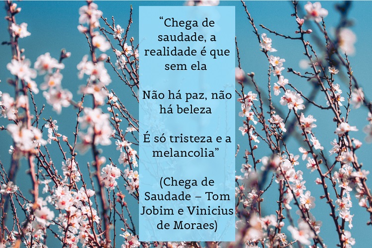 Foto de árvore com flores rosas-clara e frase: “Chega de saudade, a realidade é que sem ela / Não há paz, não há beleza / É só tristeza e a melancolia” (Chega de Saudade – Tom Jobim e Vinicius de Moraes)