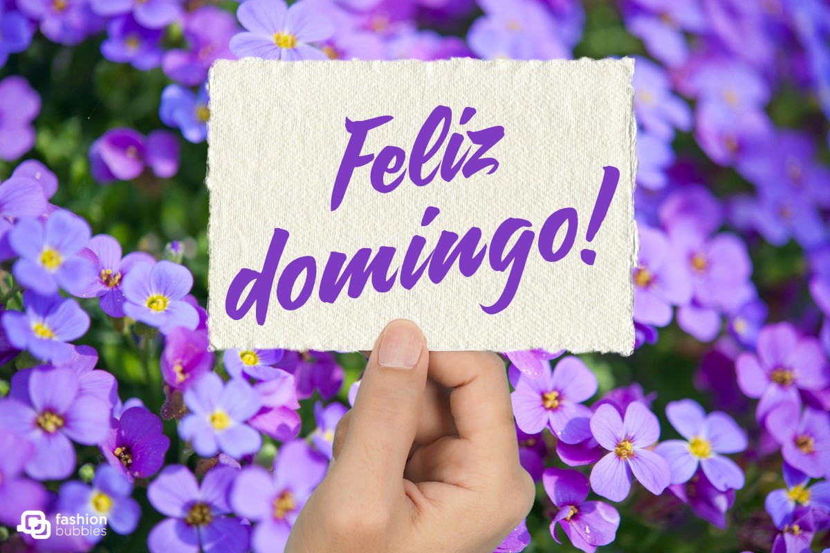 Fundo foto flores lilás e mão segurando bilhete escrito feliz domingo