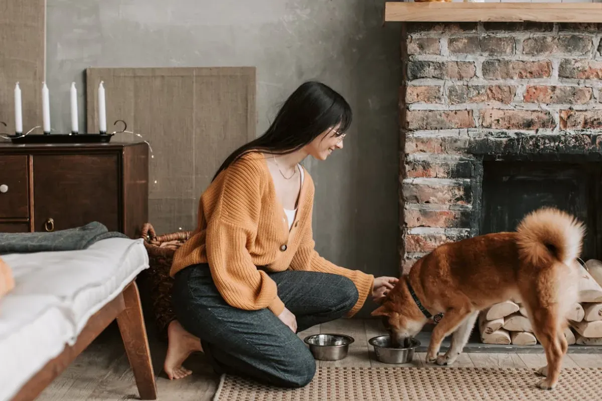 Cachorro pode comer fruta