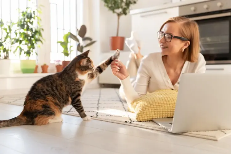 Mulher de pele clara usando roupas claras, deitada no chão brincando com gato rajado