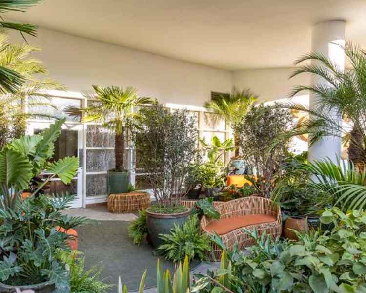 Paisagismo de Catê Poli e João Jadão no CASACOR 2023