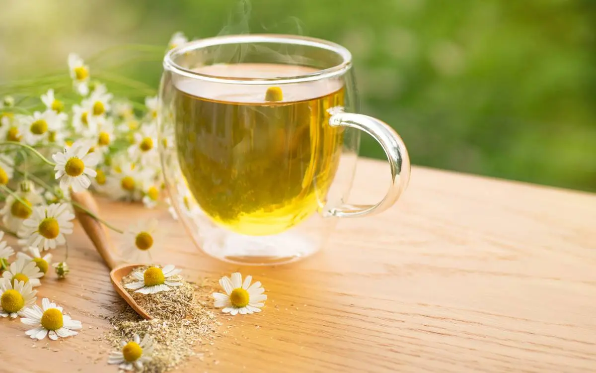 Chá para garganta inflamada: camomila.