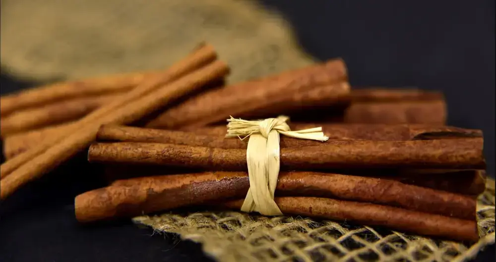 canela enrolada em tubo canela enrolada em tubo