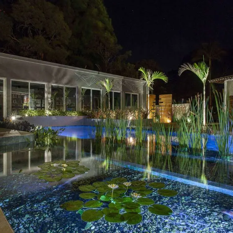Piscina biológica com plantas sobre a água, árvores ao redor e iluminação. 
