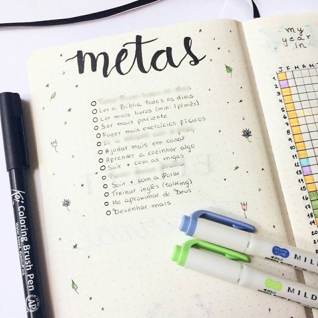 Metas e Planos.