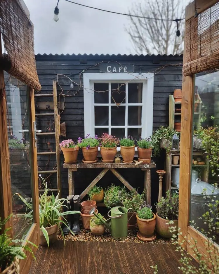 Canto de casa com vasos de barro e plantas e flores coloridas.