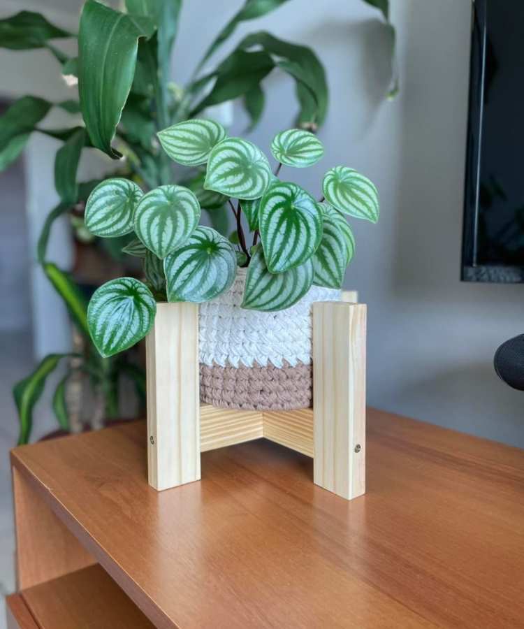 Peperômia Melancia em vaso decorativo de crochê branco e bege, apoiado em suporte de madeira. Está sobre um móvel de madeira, com folhas verdes vibrantes em destaque, e plantas ao fundo em um ambiente interno iluminado.