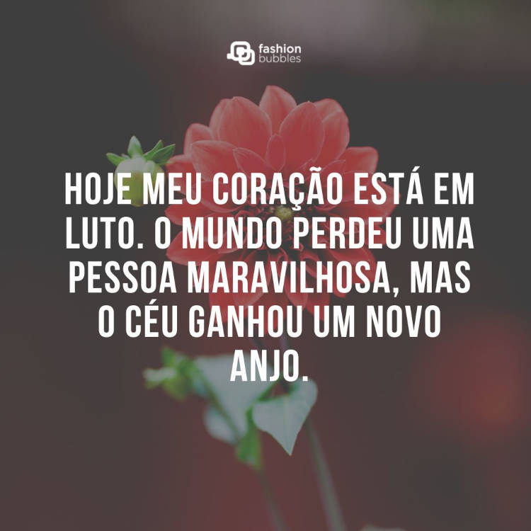 Mensagem de luto: Hoje meu coração está em luto. O mundo perdeu uma pessoa maravilhosa, mas o céu ganhou um novo anjo. Frase "Hoje meu coração está em luto. O mundo perdeu uma pessoa maravilhosa, mas o céu ganhou um novo anjo." escrita sobre foto de flor vermelha