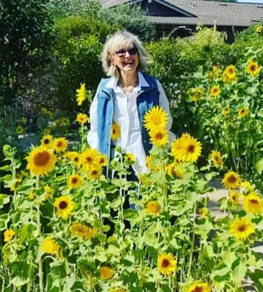 Olivia Newton-John em pé em plantação de girassol - famosas mais 70 anos.