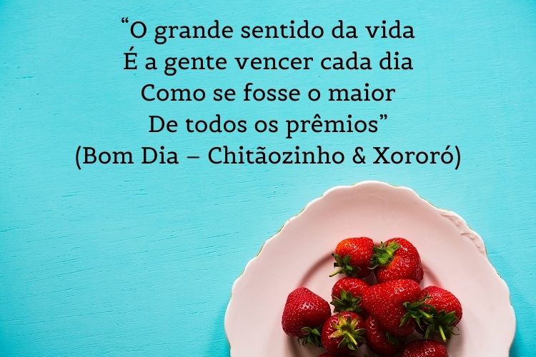 Foto de mesa azul com prato com morangos e frase: “O grande sentido da vida / É a gente vencer cada dia / Como se fosse o maior / De todos os prêmios” (Bom Dia – Chitãozinho & Xororó)