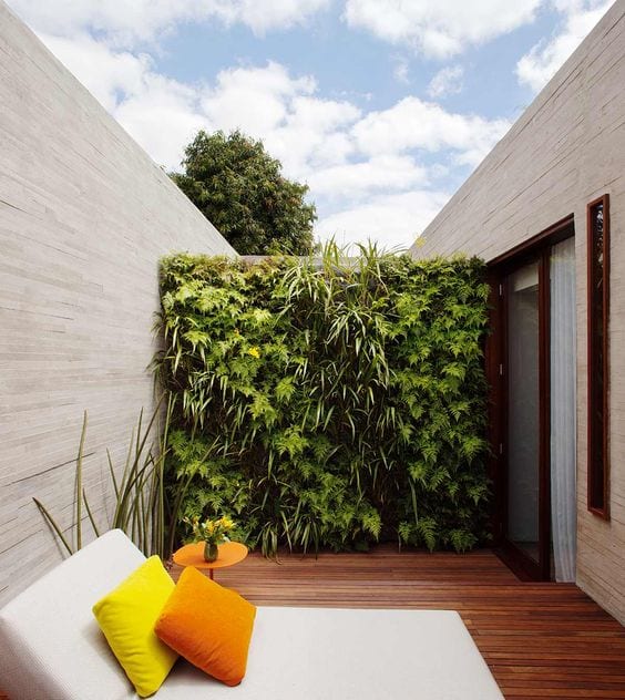 Parede externa com jardim vertical