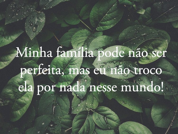 Frase sobre família 