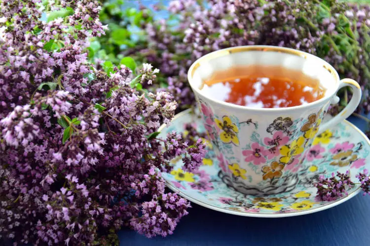 Foto de infusão de valeriana