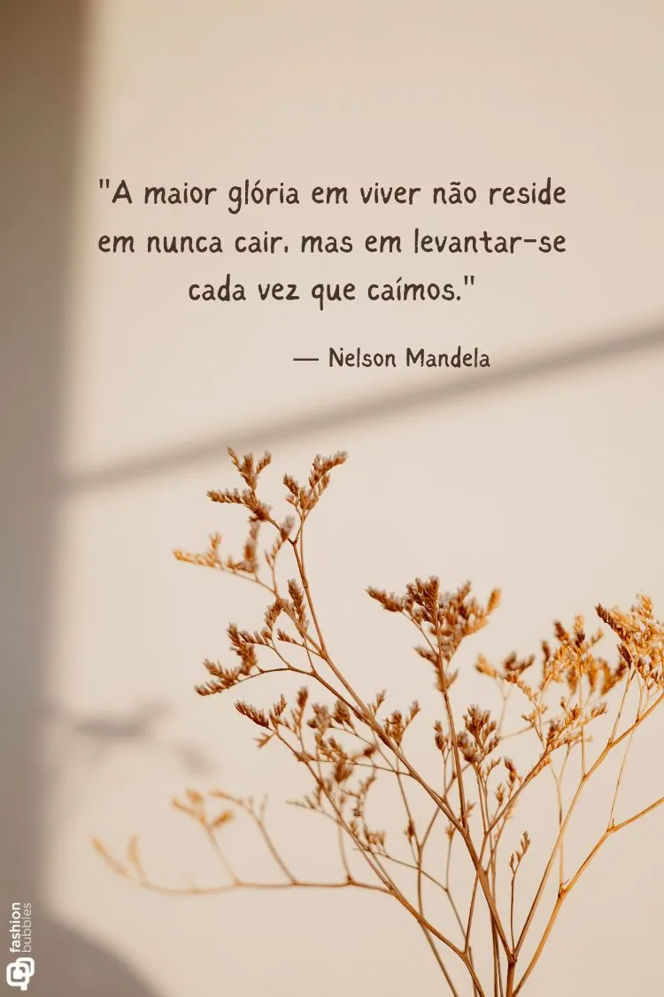 A imagem apresenta galhos secos e finos com pequenas folhas em tons de marrom e bege, em um fundo claro e suave. A citação "A maior glória em viver não reside em nunca cair, mas em levantar-se cada vez que caímos." — Nelson Mandela está sobreposta na parte superior.

