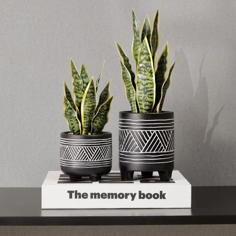 dois vasos pretos com desenhos geométricos contendo mini espadas-de-são-Jorge estão em cima de um livro, na lombada se lê "The memory book"
