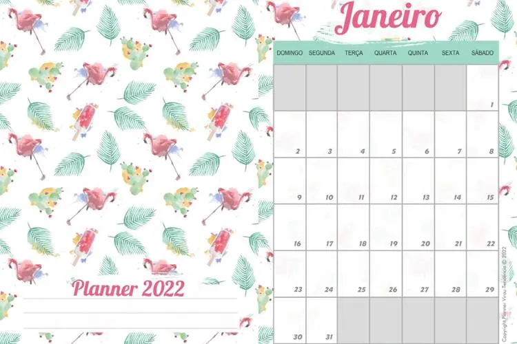 Foto de calendário com capa de flamingos.