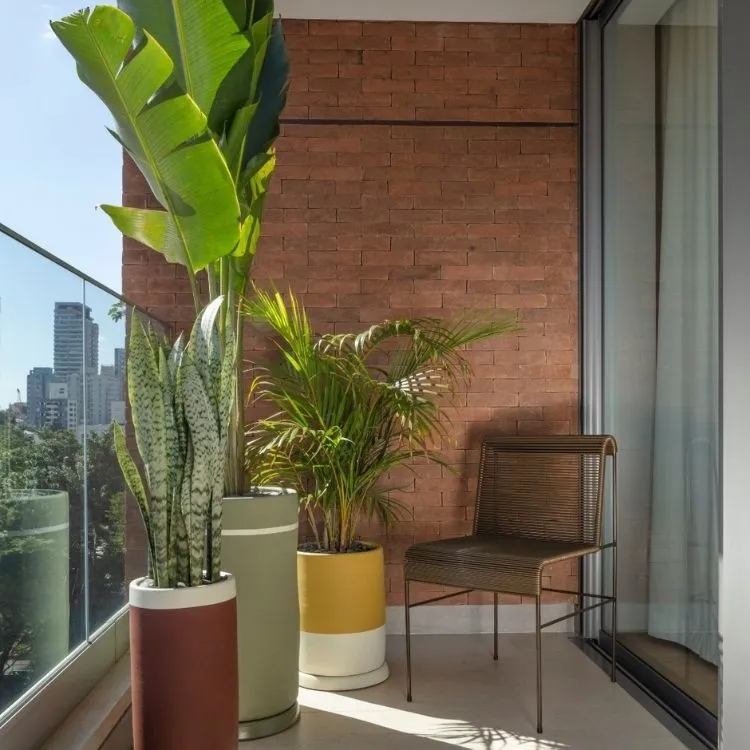 Uma sacada com alguns vasos de planta, ao fundo uma cidade