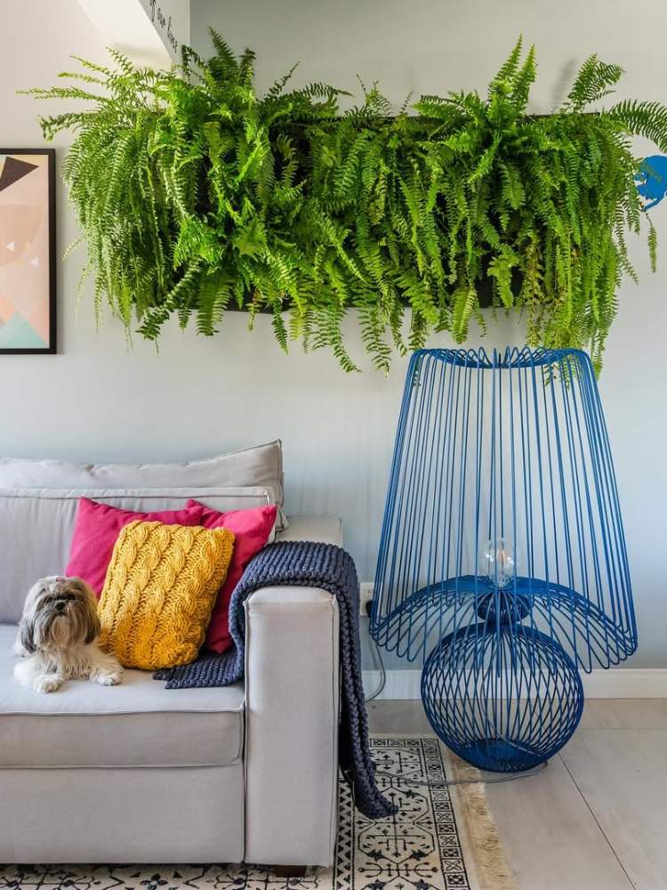Sala com samambaia na parede, sofá cinza com almofadas coloridas, cachorro e abajur azul 