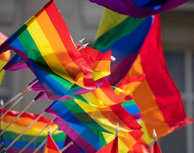 Foto de bandeiras LGBT 
