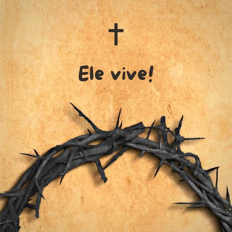 A imagem apresenta um fundo texturizado em tons de bege e laranja. No centro superior, há uma cruz simples em preto. Abaixo da cruz, a frase "Ele vive!" está escrita em preto. Na parte inferior da imagem, um terço da coroa de espinhos preta e com detalhes cinzas está posicionada.