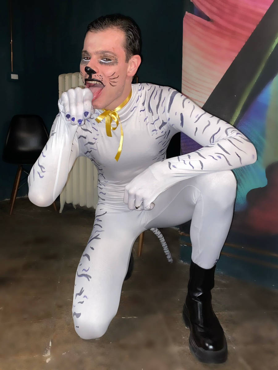 Felippe Vier  fantasiado de gato branco para o Halloween, com maquiagem 