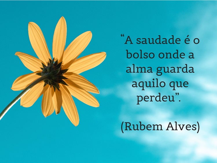 Foto de flor amarela e frase: A saudade é o bolso onde a alma guarda aquilo que perdeu”. (Rubem Alves)