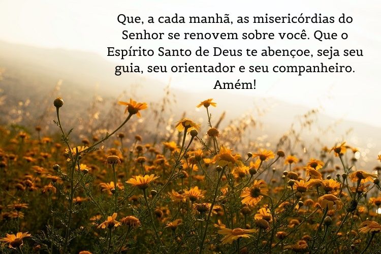 foto de flores amarelas no amanhecer com oração de bom dia
