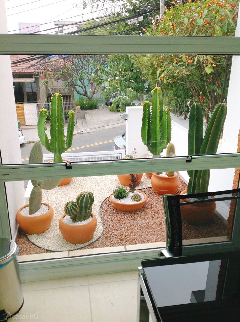 Jardim com vasos de cacto.