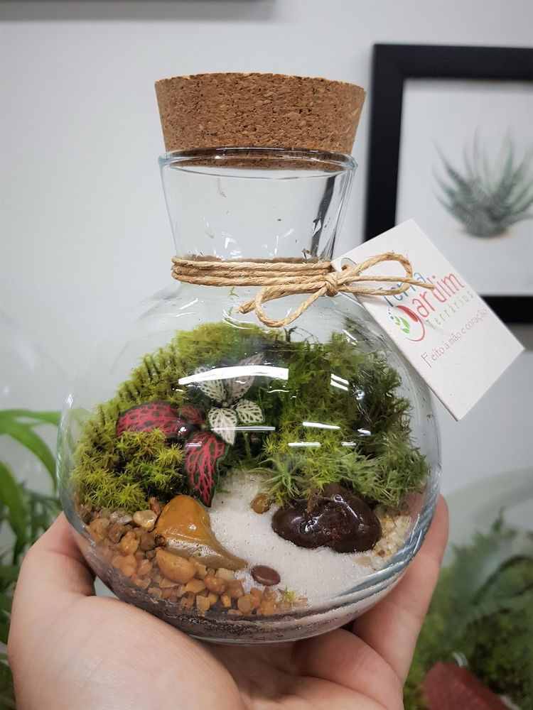 mini terrário para presente