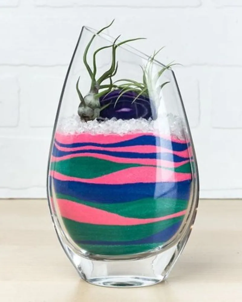 terrário de suculentas