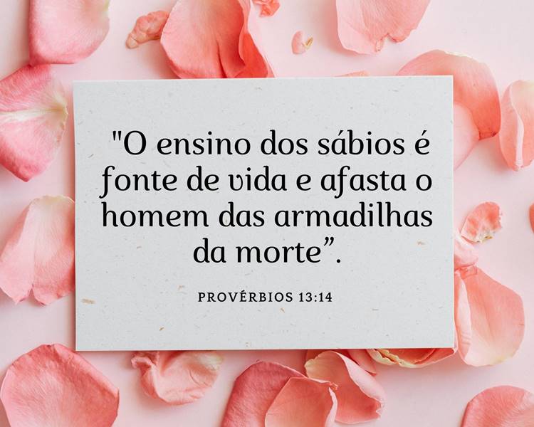 Foto de pétalas atrás de cartão contendo a frase Provérbios 13:14 – “O ensino dos sábios é fonte de vida e afasta o homem das armadilhas da morte”.