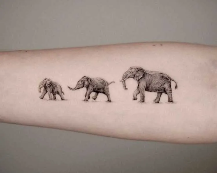 braço com 3 elefantes tatuados