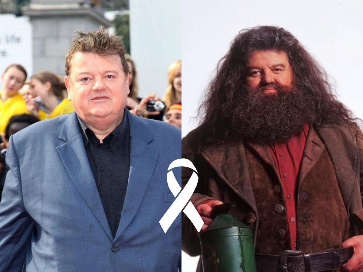 2 Imagens: a 1ª com fundo de pessoas e Robbie Coltrane no centro, usando terno azul. A 2ª imagem com fundo cinza. No centro, Robbie Coltrane como o personagem Hagrid de Harry Potter.