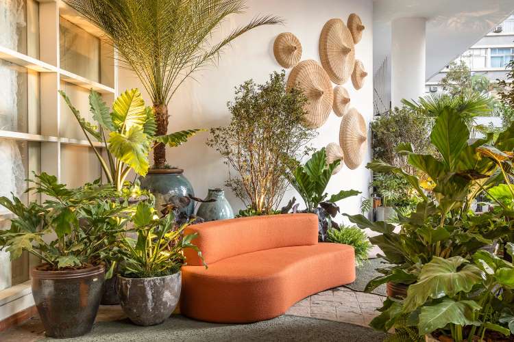 Plantas exóticas e plantas nativas no Paisagismo de Catê Poli e João Jadão no CASACOR 2023