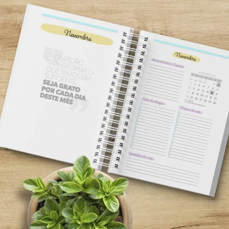 Planner colorido encadernado aberto em novembro. 