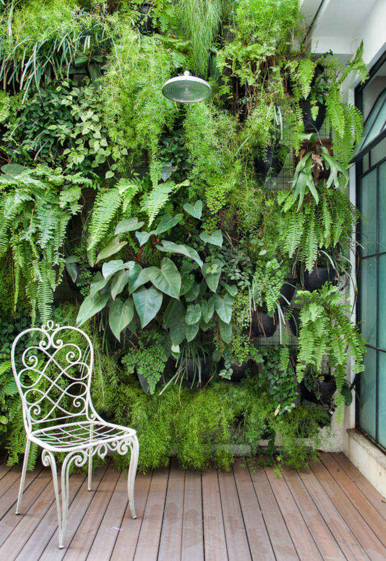 Deck com cadeira, chuveiro e jardim vertical 