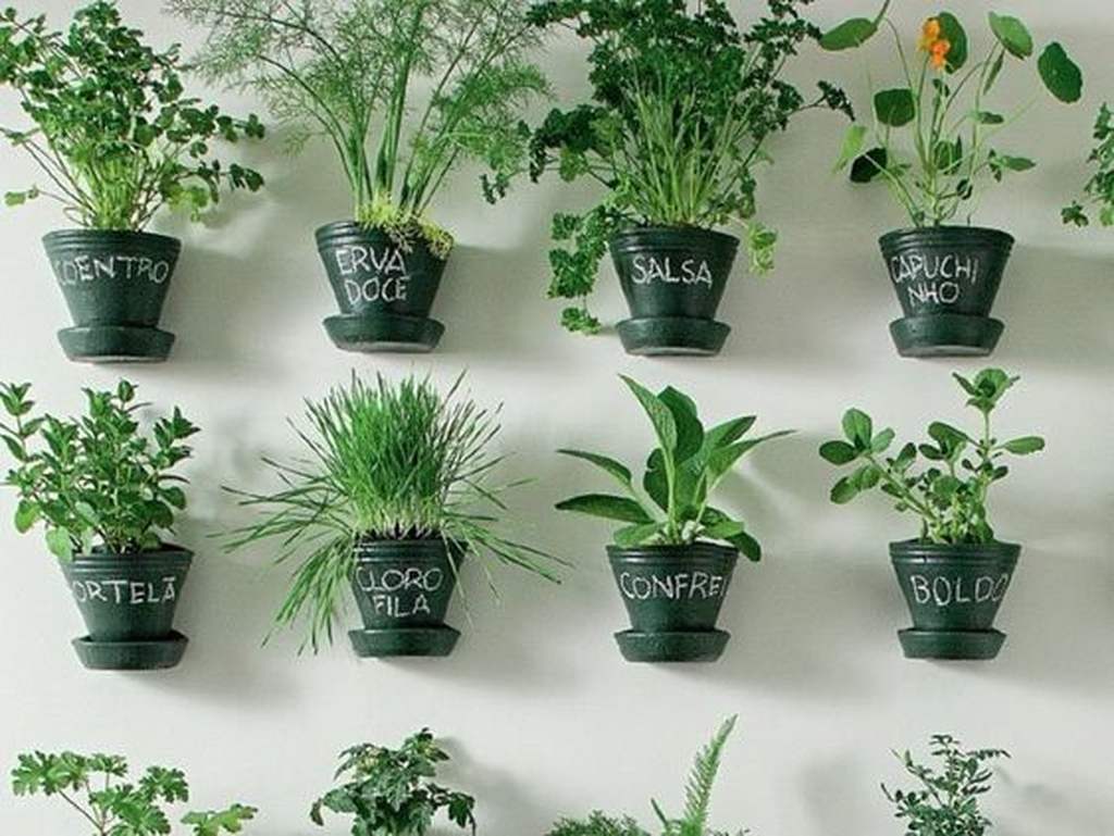 Parede com vasos pretos em horta vertical, com nome de cada planta no vaso 