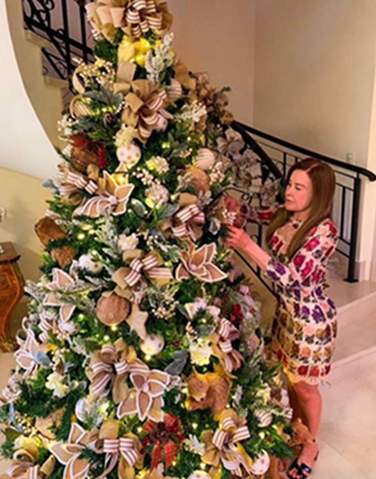 Zilu, ex-mulher de Zezé di Camargo, decorando Árvore de Natal. Foto de Zilu - Decoração de fim de ano dos famosos.