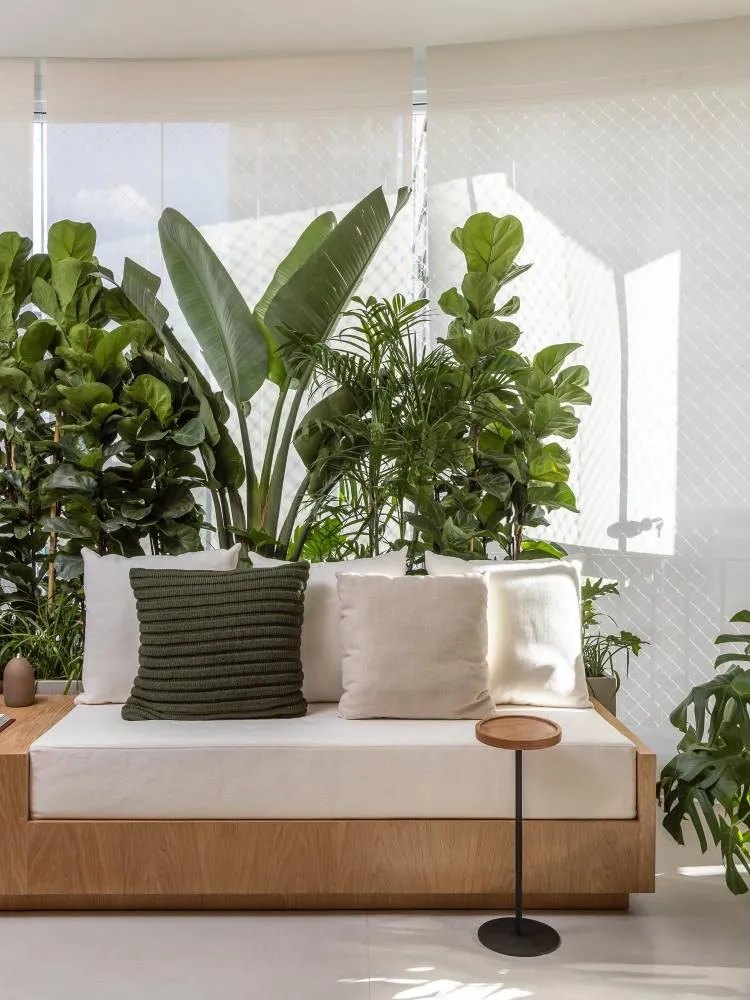 Jardim indoor atrás de sofá branco com detalhe em madeira e almofadas. 