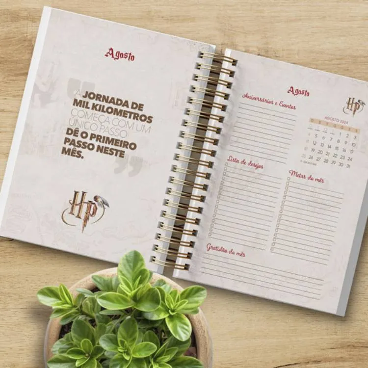Planner de Harry Potter encadernado aberto no mês de agosto, com gratidões do mês, metas, aniversários e lista de desejos. 