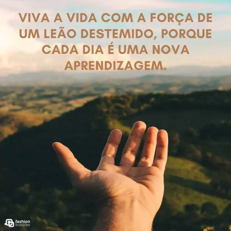 Frase sobre viver a vida