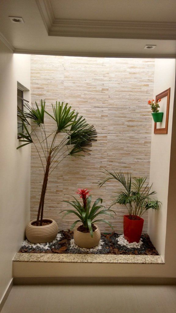 Jardim de inverno pequeno com 3 vasos e decoração na parede