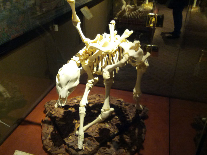 IMG_20130403_124946