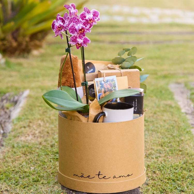 Cesta contém orquídea rosa, caneca, pequenos presentes e cartão, em caixa marrom com "mãe te amo" escrito. Está sobre gramado, com plantas ao fundo, criando um ambiente natural e acolhedor. Ideal para presentear no Dia das Mães.