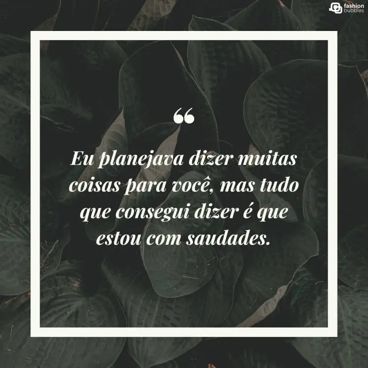Foto de plantas com a frase: "Eu planejava dizer muitas coisas para você, mas tudo que consegui dizer é que estou com saudades." no meio